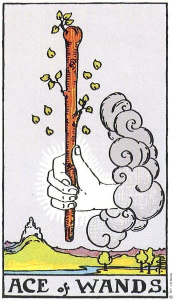 Ace of Wands tarot card (Rider-Waite)