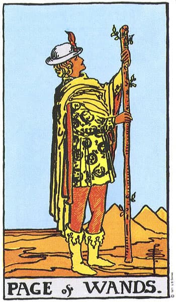Page of Wands tarot card (Rider-Waite)